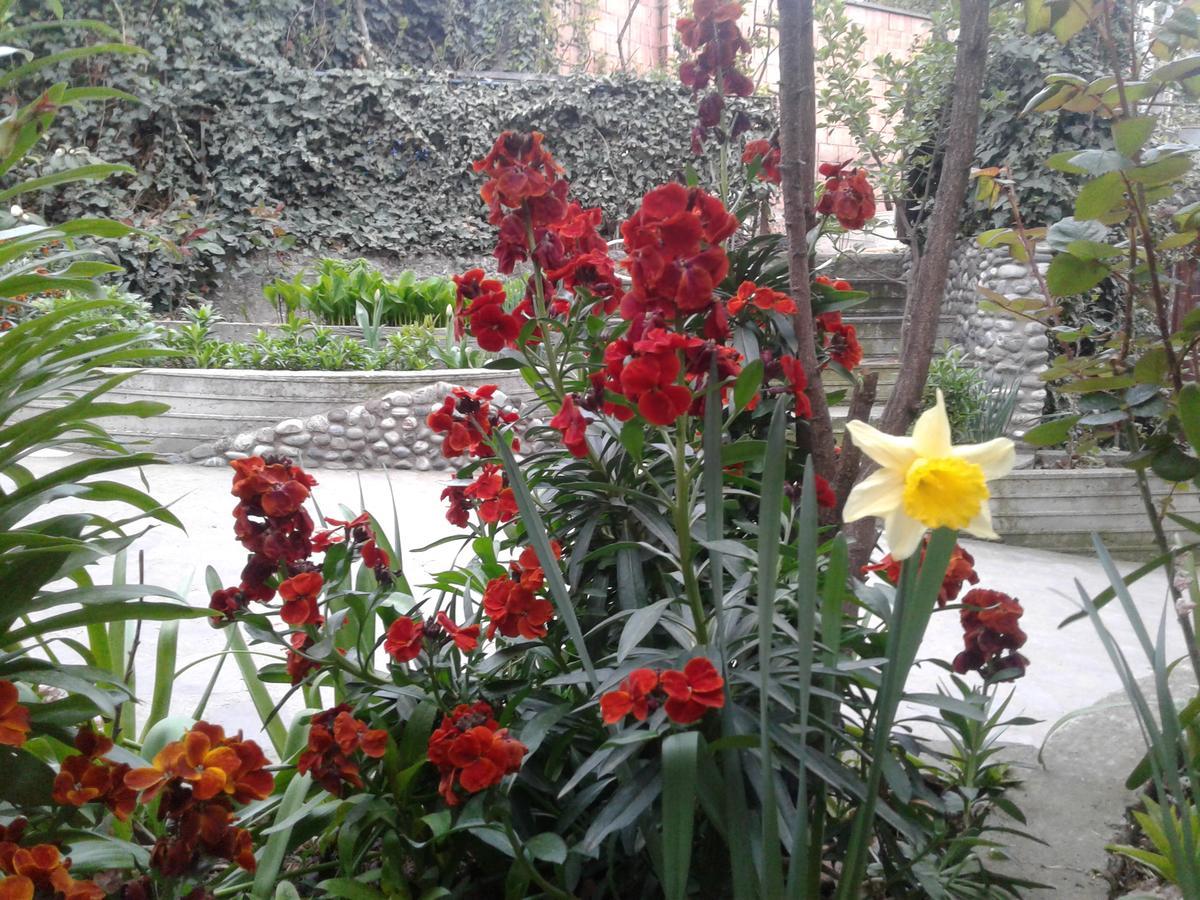 Guest House Edem Tiflis Exterior foto